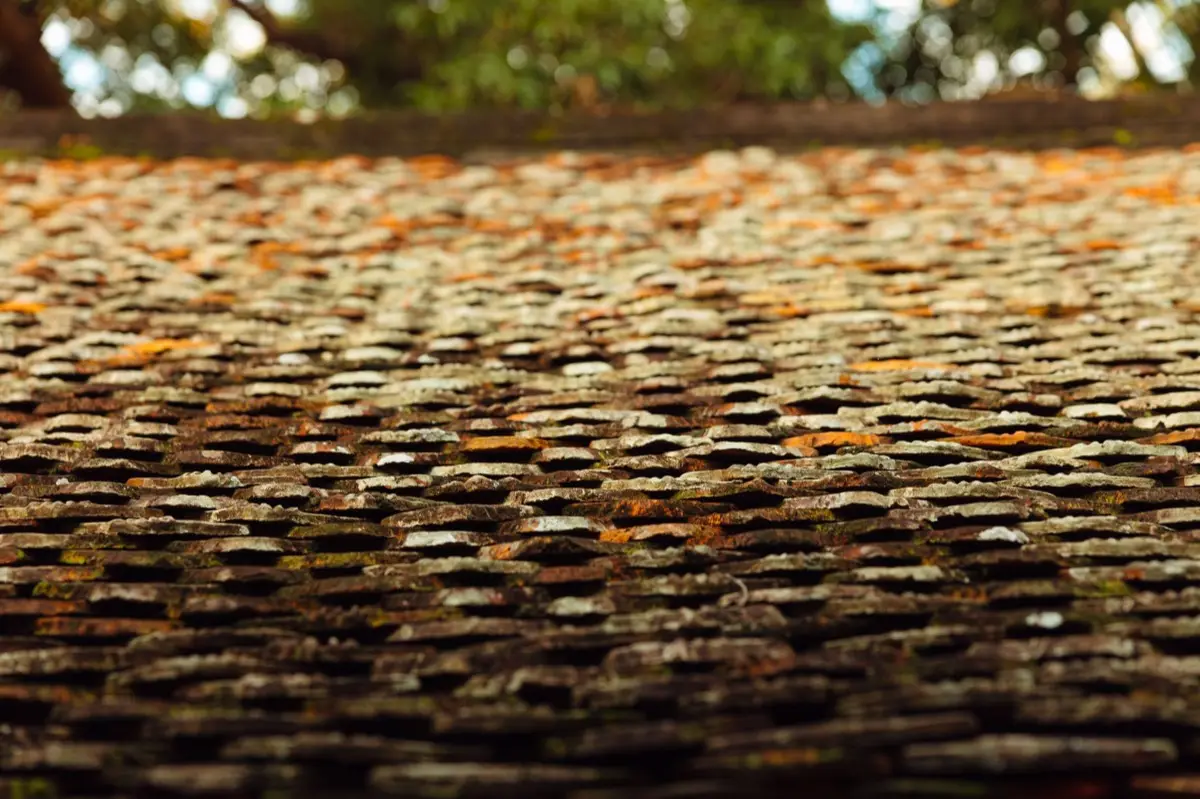 Aging shingle roof with moss growth and granule loss in Alpharetta, GA